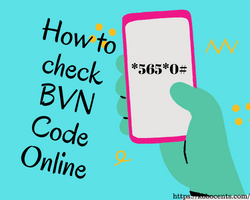 How to check BVN Code Online