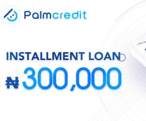 Palmcredit Loan: How To Apply For A Loan From Palmcredit – 2023