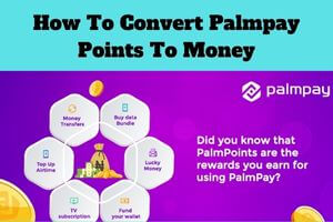 How To Convert Palmpay Points To Money