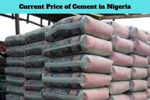 Current Price of Cement in Nigeria[2023]