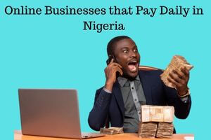 20 Online Businesses that Pay Daily in Nigeria ( Earn ₦45k Daily)