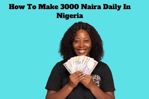 How To Make 3000 Naira Daily In Nigeria