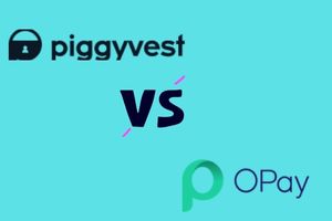 PiggyVest vs Opay: which is better? ( 2023)