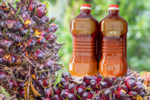 Step-by-Step Guide to Starting a Successful Palm Oil Business in Nigeria (2023)