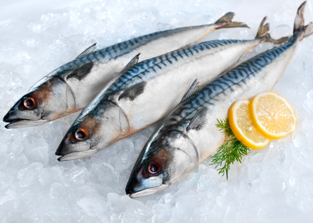 How to Start an Ice Fish Business in Nigeria