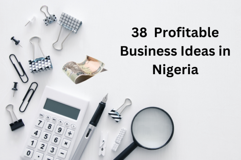 38 Unique and Profitable Business Ideas in Nigeria ( 2023)