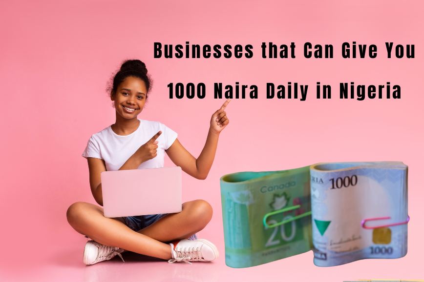 Businesses that Can Give You 1000 Naira Daily in Nigeria