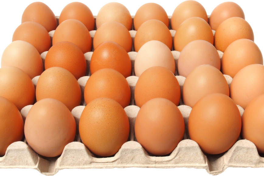 Egg business in Nigeria 