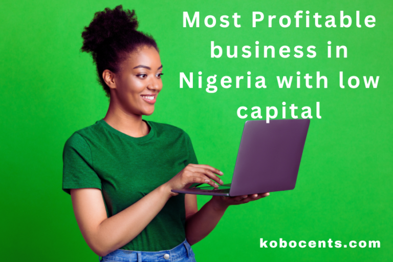 10 Most Profitable Business in Nigeria with Low Capital -2023