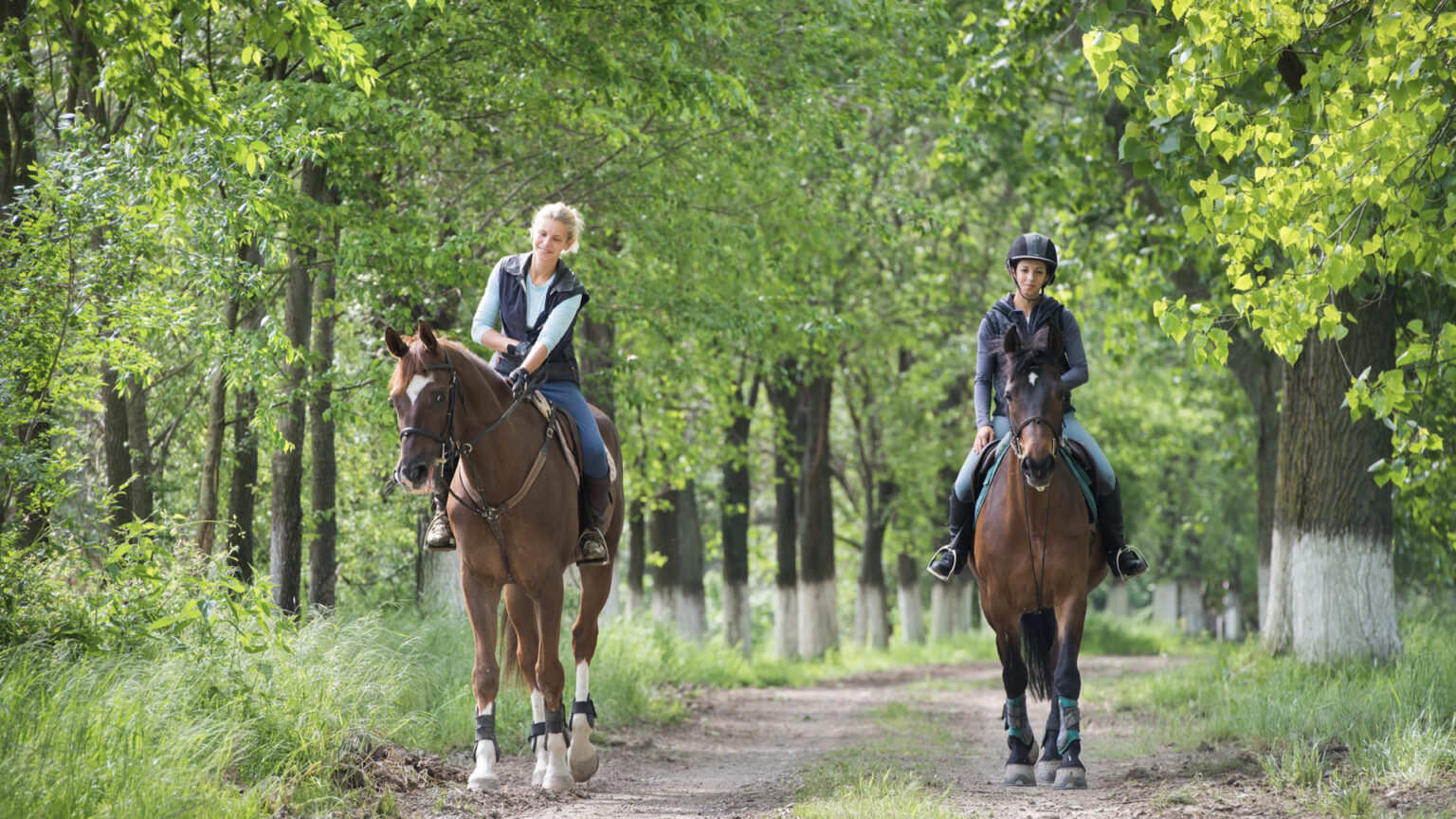 20 Activities to Avoid After the Age of 75